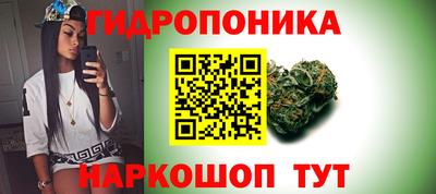 гашик Кунгур