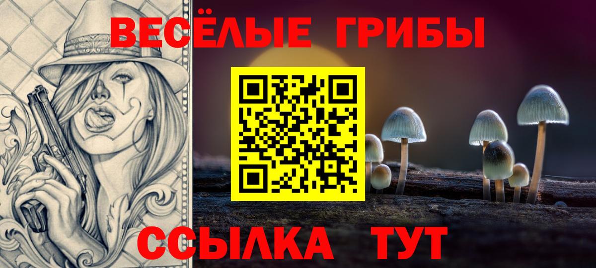 Кингисепп  Галлюциногенные грибы Psilocybe  Галлюциногенные грибы мухоморы  цены наркотик  Вход с VPN 