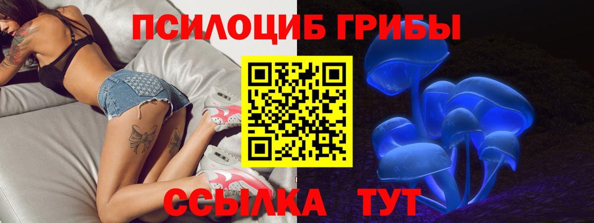 Галлюциногенные грибы Psilocybine cubensis Кингисепп